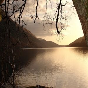 Meet your Posher, Gretchen